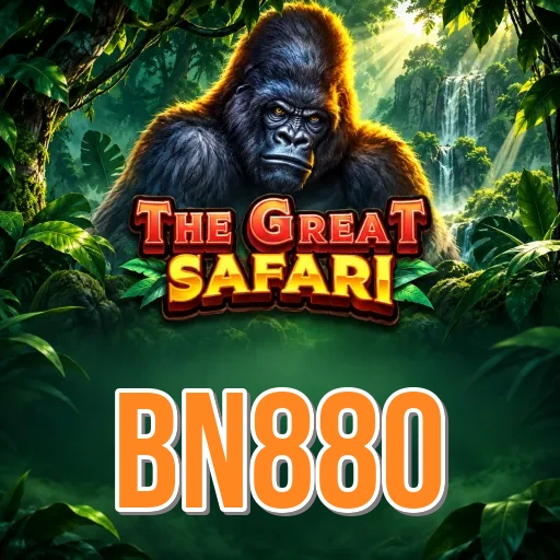 bn880 Features